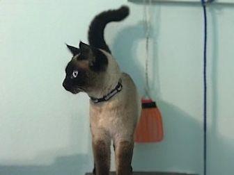Cleo (20689912)
