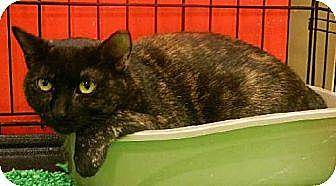 Cleo (9485014)