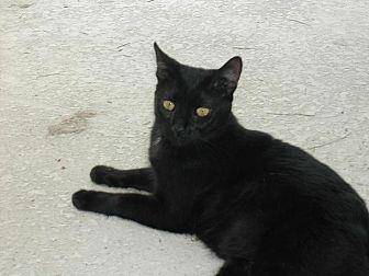 Clive (15244552)