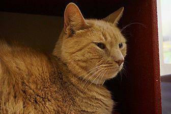 Cody (20135731)