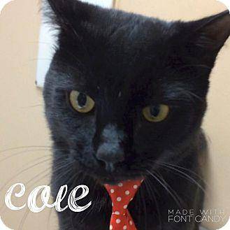 Cole (17313455)