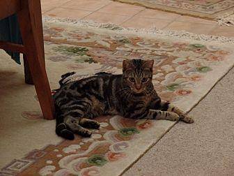 Collette (20008440)