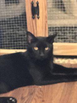 Cookie (20277101)