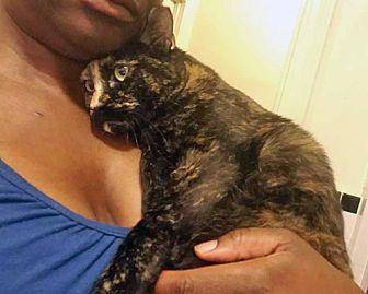 Cuddles: Tor (15601921)
