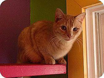 Cyrus (10487902)