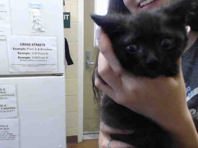 CYRUS (A540628)