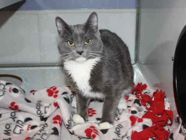 DANI (A119914)