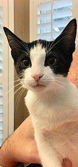 Danny (20182639)