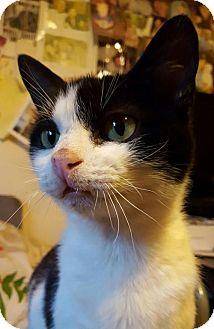 Darcy D (17733087)