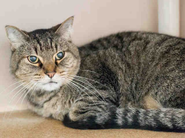 DARYL (A897474)