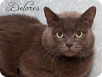 DELORES (16405420)