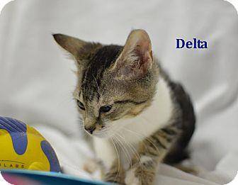 Delta (18826569)