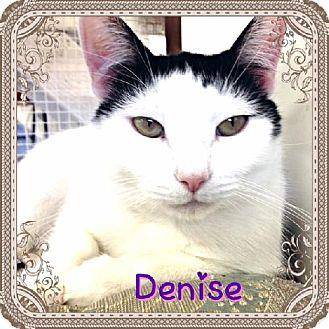 Denise (9243113)