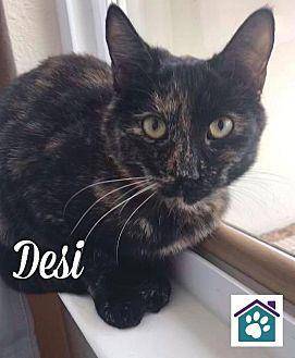 DESI (20293773)
