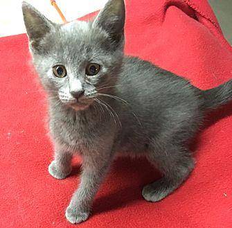 Dinky (20130037)