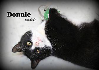 Donnie (20553840)