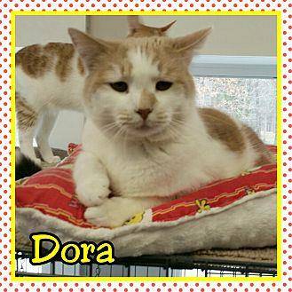 Dora (12850750)