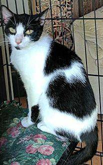 Dorie (19499795)