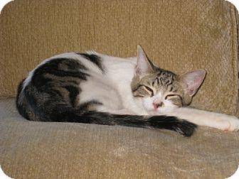 Duncan (15203767)