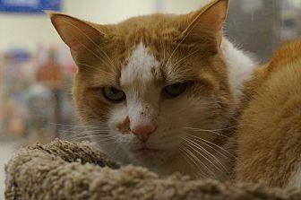 Duncan (20135681)