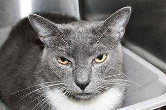 Dusty (20136842)