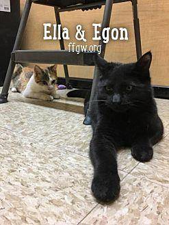 Egon (20199269)