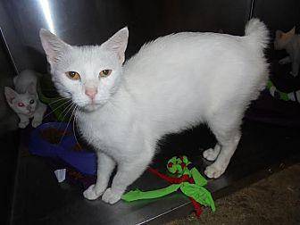 Eira (16200708)