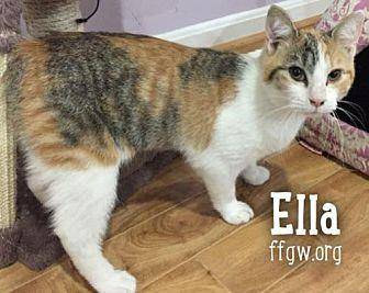 Ella (20199268)