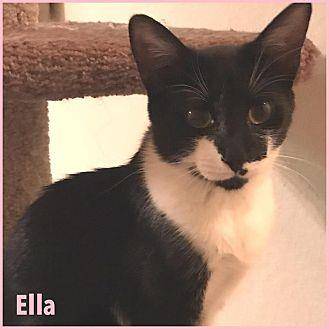 Ella (Diana) (19671308)