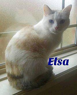 Elsa (20416678)