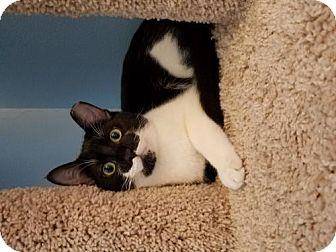 Elwood (17415451)