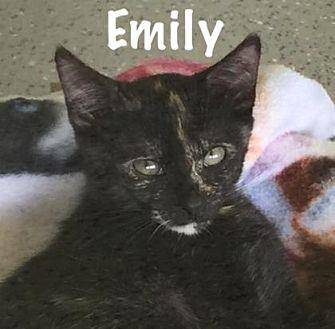 Emily (19880196)