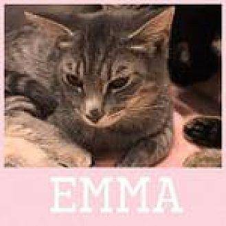 Emma (19577263)