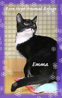 Emma (20368311)