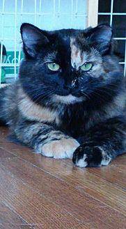 EMMA KAT (13999213)