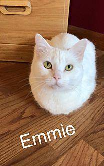 Emmie MKK (19399361)