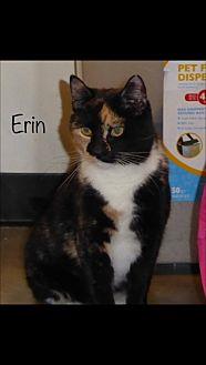 Erin (20586919)