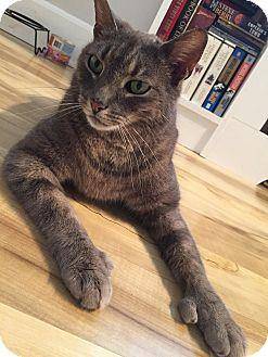 ERNEST/ Huge (12807005)