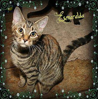 Esmerelda (20587869)