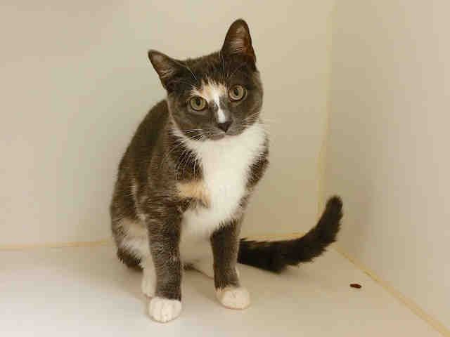 ESTHER (A009845)
