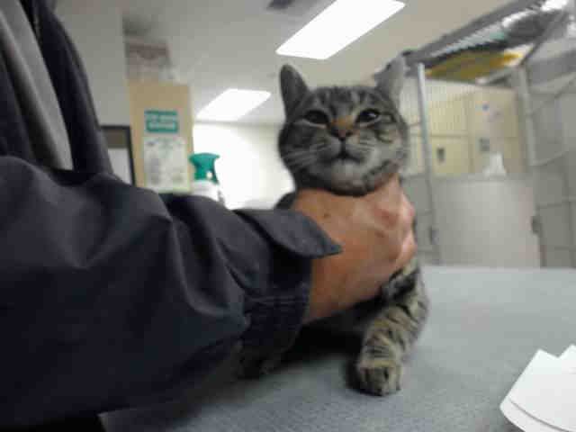EVA (A146264)