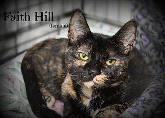 Faith Hill (17969194)