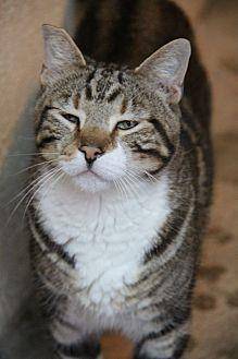 Felix (12014044)