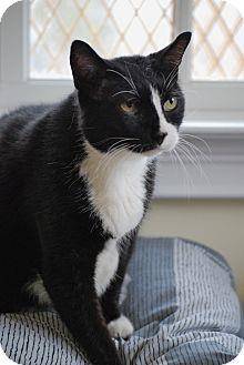 Felix (15292248)