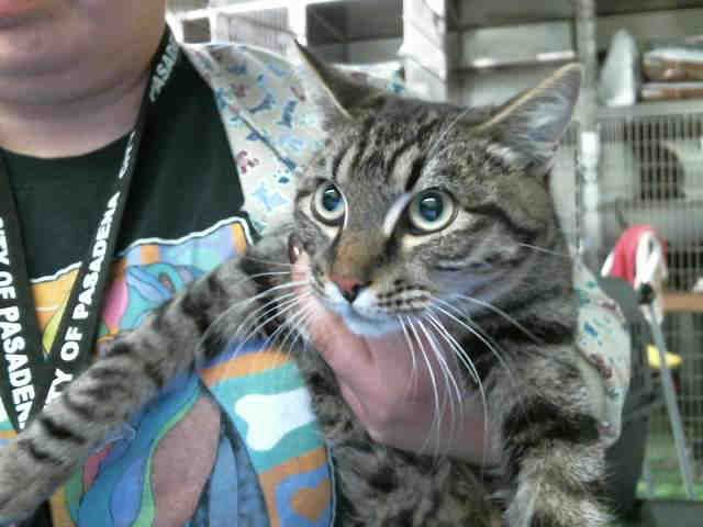 FELIX (A132150)