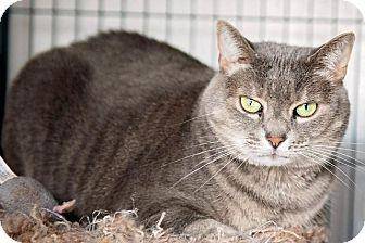Felony (Kitt (17001544)
