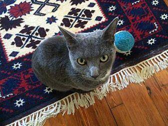 Finnegan (12644484)
