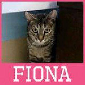 Fiona (19577428)