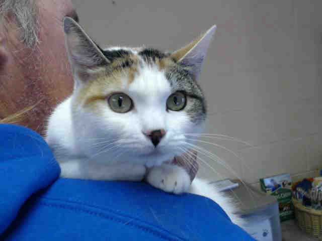 FIONA (A014790)