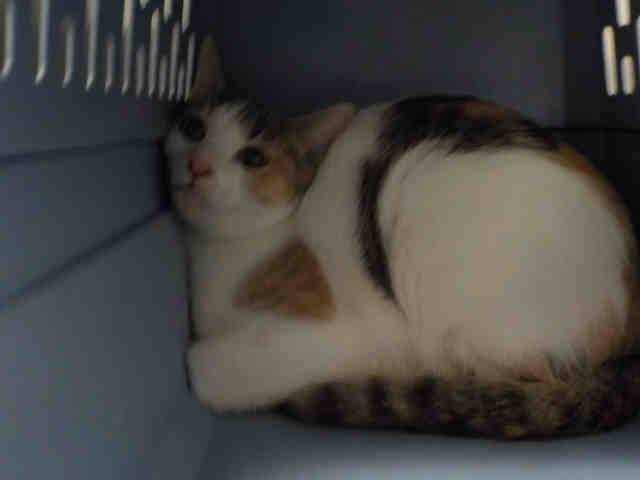 FIONA (A1935198)